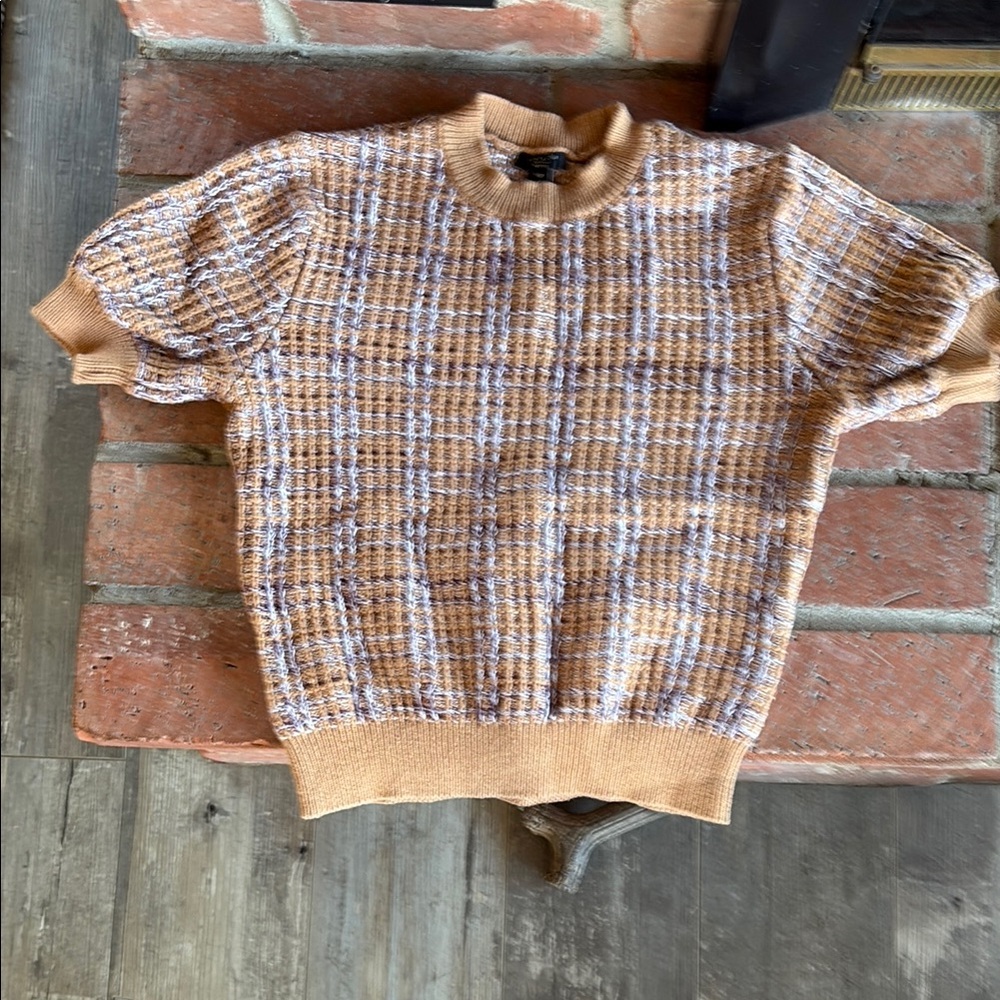 Ann Taylor Factory Tan and Brown Crew Neck Sweater